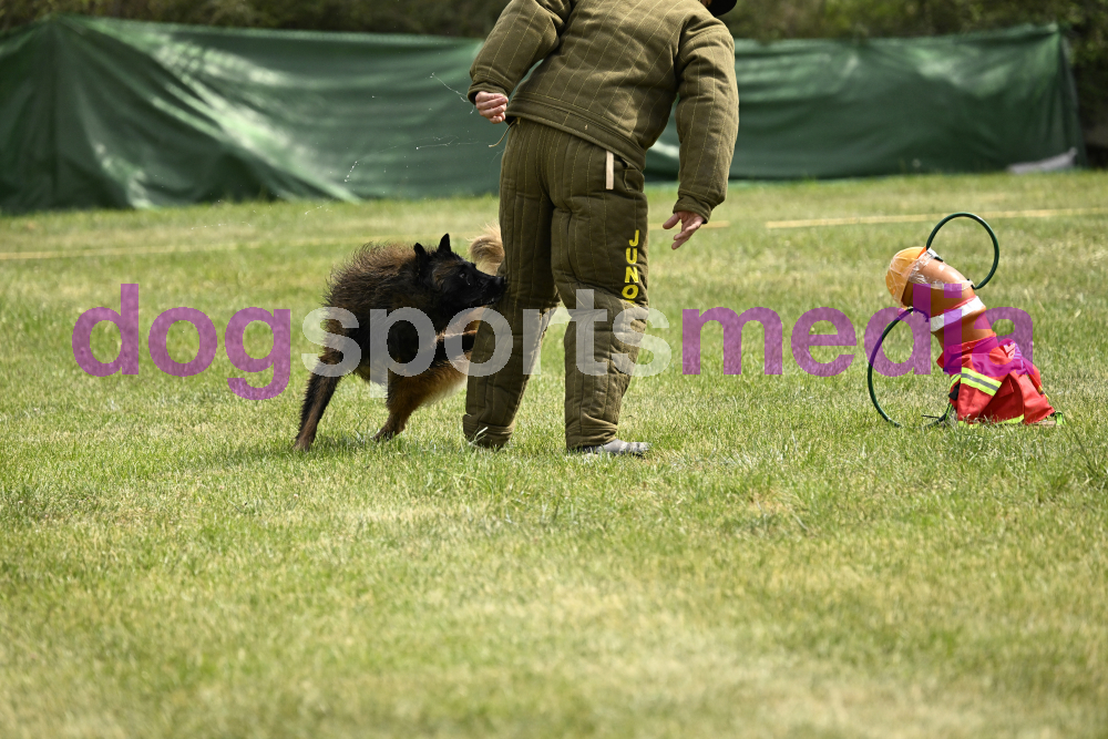 Preview _JRI_20039.jpg